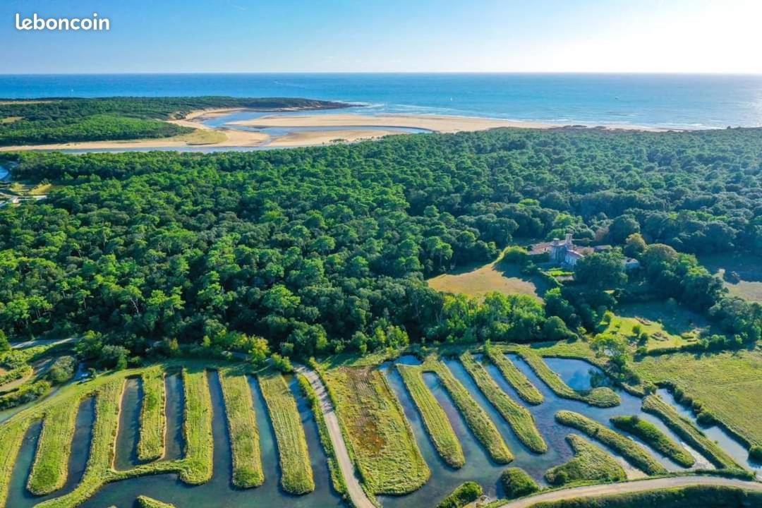 Charmant T2 Au Coeur Du Golf De Port Bourgenay Talmont-Saint-Hilaire Esterno foto